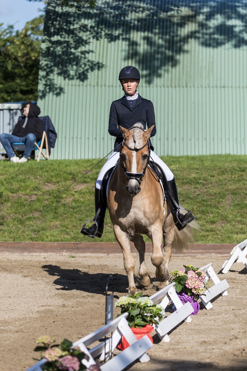 Bild 173 - Pony Akademie Turnier